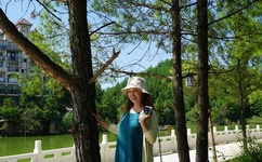 成品禁用短视频app推荐网站